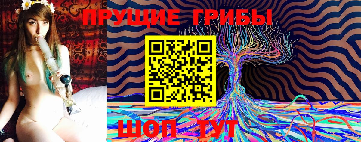 Псилоцибиновые грибы GOLDEN TEACHER Сухой Лог
