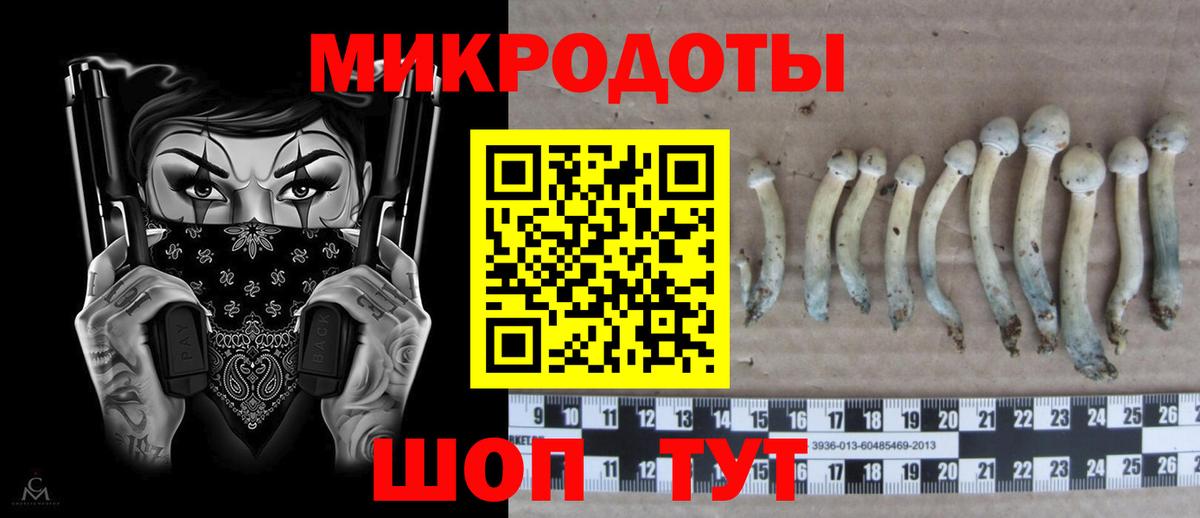 Галлюциногенные грибы MAGIC MUSHROOMS  закладки  Галлюциногенные грибы Cubensis  Сухой Лог  Вход с VPN 
